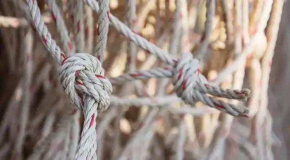 Nets & Ropes